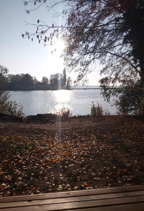 Lieblingsplatz Apartement Am Steinhuder Meer Wunstorf Buitenkant foto